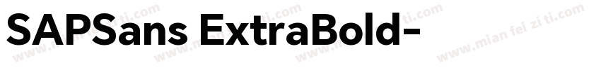 SAPSans ExtraBold字体转换